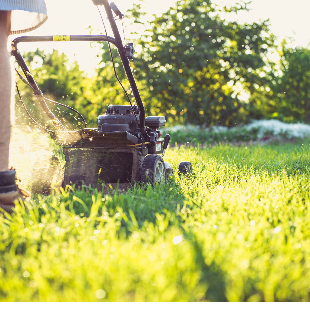 grass cutting gardening services harare