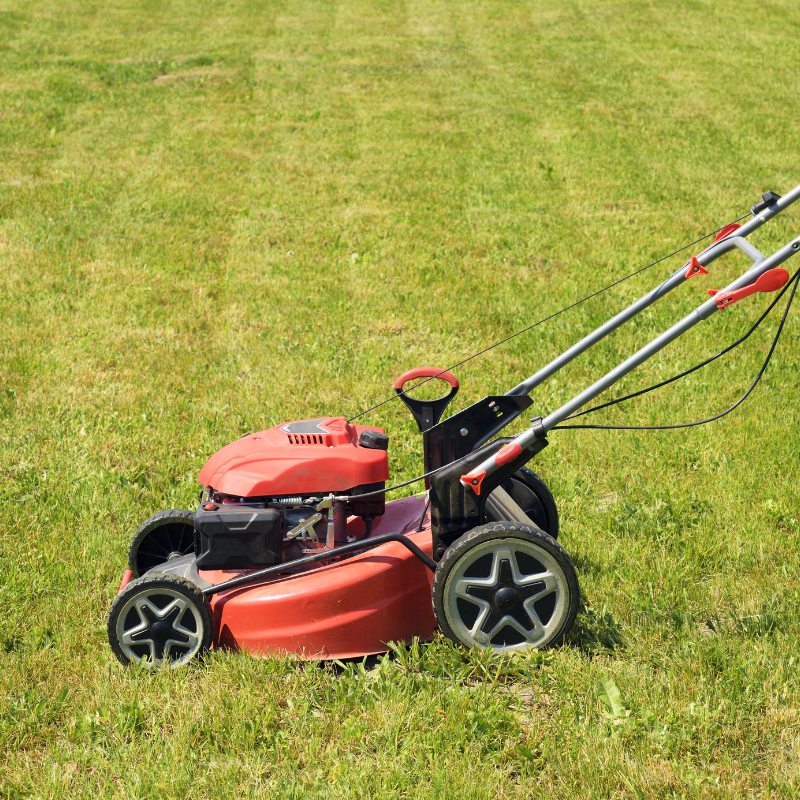 Lawn care & maintenance harare