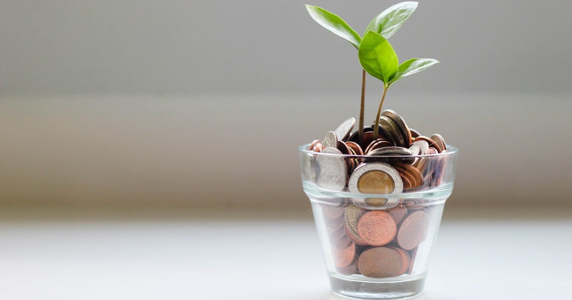 Zimbabwe Business Consultants